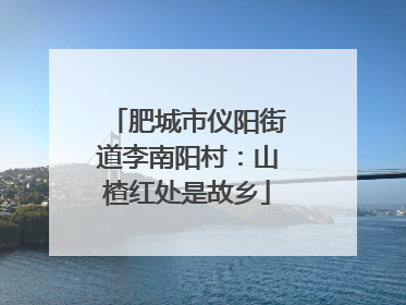 肥城市仪阳街道李南阳村：山楂红处是故乡