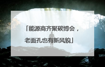 能源商齐聚碳博会，老面孔也有新风貌