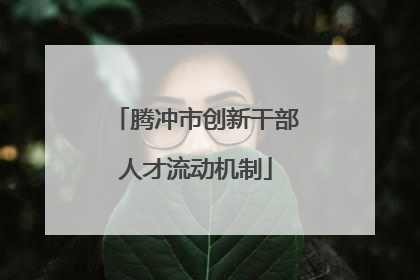 腾冲市创新干部人才流动机制