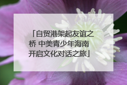 自贸港架起友谊之桥 中美青少年海南开启文化对话之旅