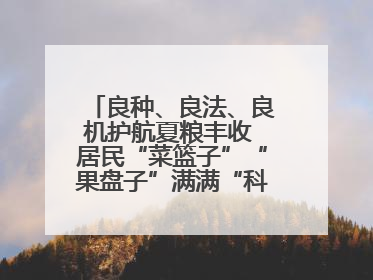 良种、良法、良机护航夏粮丰收 居民“菜篮子”“果盘子”满满“科技范儿”