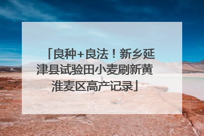 良种+良法！新乡延津县试验田小麦刷新黄淮麦区高产记录
