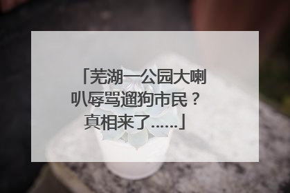芜湖一公园大喇叭辱骂遛狗市民？真相来了……