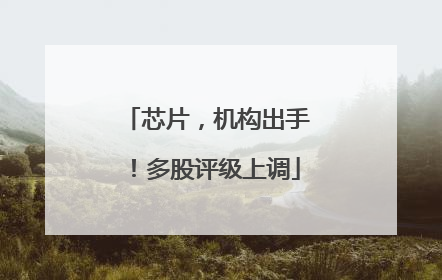 芯片，机构出手！多股评级上调