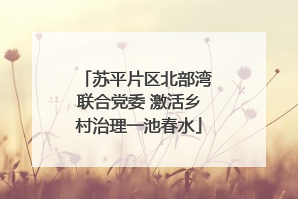 苏平片区北部湾联合党委 激活乡村治理一池春水