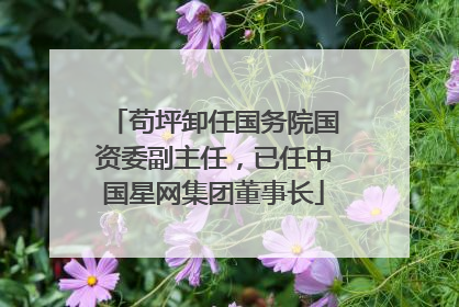 苟坪卸任国务院国资委副主任，已任中国星网集团董事长