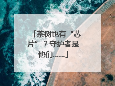 茶树也有“芯片”？守护者是他们……