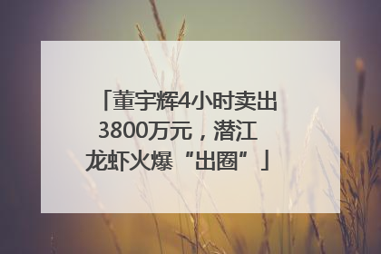 董宇辉4小时卖出3800万元，潜江龙虾火爆“出圈”