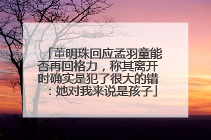 董明珠回应孟羽童能否再回格力，称其离开时确实是犯了很大的错：她对我来说是孩子