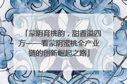 蒙阴育桃韵，甜香溢四方——看蒙阴蜜桃全产业链的创新崛起之路