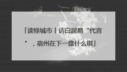读懂城市丨请白居易“代言”，宿州在下一盘什么棋