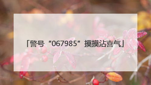 警号“067985”摸摸沾喜气