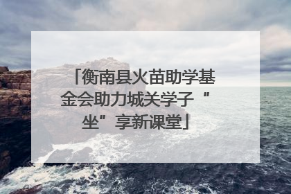 衡南县火苗助学基金会助力城关学子“坐”享新课堂
