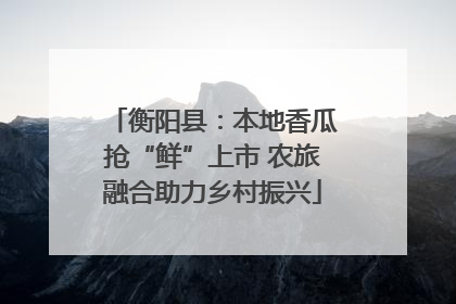 衡阳县：本地香瓜抢“鲜”上市 农旅融合助力乡村振兴