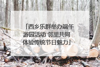 西乡乐群举办端午游园活动 邻里共同体验传统节日魅力
