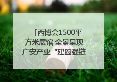 西博会1500平方米展馆 全景呈现广安产业“建圈强链”｜西博视界