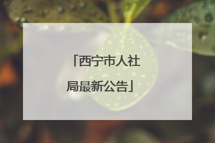 西宁市人社局最新公告