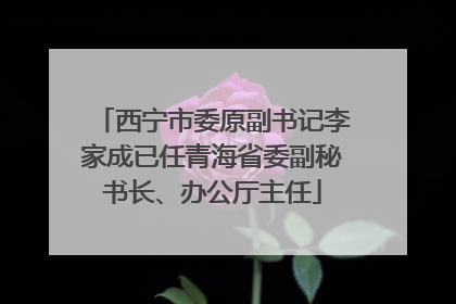 西宁市委原副书记李家成已任青海省委副秘书长、办公厅主任