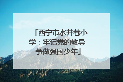西宁市水井巷小学：牢记党的教导 争做强国少年