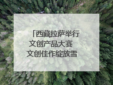西藏拉萨举行文创产品大赛 文创佳作绽放雪域文化魅力