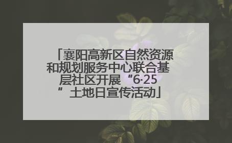 襄阳高新区自然资源和规划服务中心联合基层社区开展“6·25”土地日宣传活动
