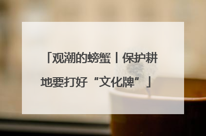 观潮的螃蟹丨保护耕地要打好“文化牌”
