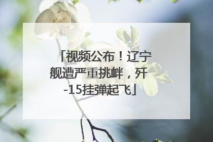 视频公布！辽宁舰遭严重挑衅，歼-15挂弹起飞