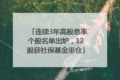连续3年高股息率个股名单出炉，12股获社保基金重仓