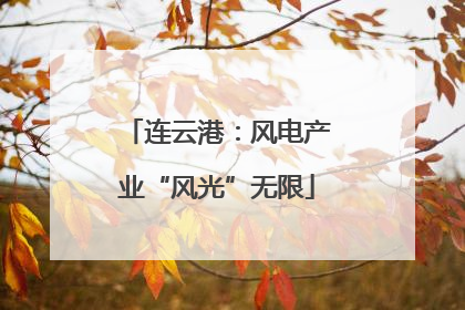 连云港：风电产业“风光”无限