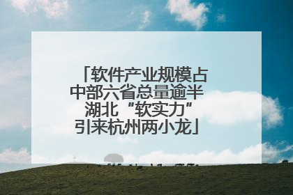 软件产业规模占中部六省总量逾半 湖北“软实力”引来杭州两小龙