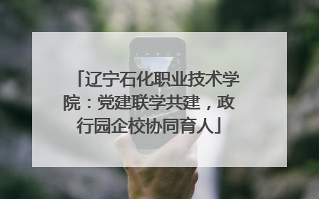 辽宁石化职业技术学院：党建联学共建，政行园企校协同育人