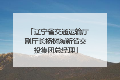辽宁省交通运输厅副厅长杨树履新省交投集团总经理
