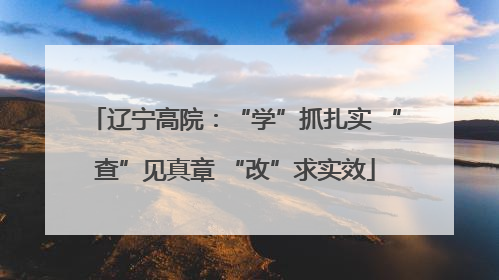 辽宁高院：“学”抓扎实 “查”见真章 “改”求实效