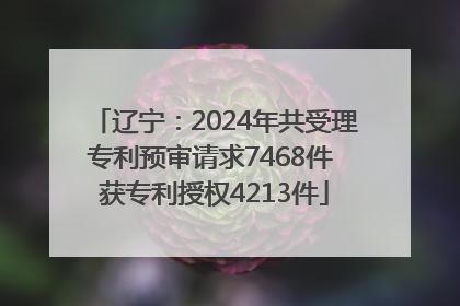 辽宁：2024年共受理专利预审请求7468件 获专利授权4213件