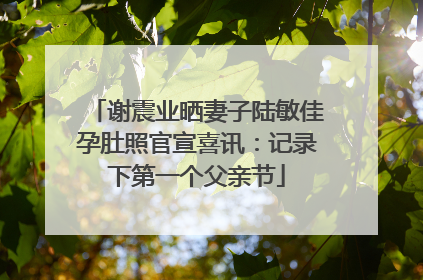 谢震业晒妻子陆敏佳孕肚照官宣喜讯：记录下第一个父亲节