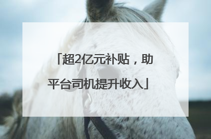 超2亿元补贴，助平台司机提升收入