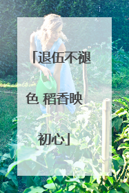 退伍不褪色 稻香映初心