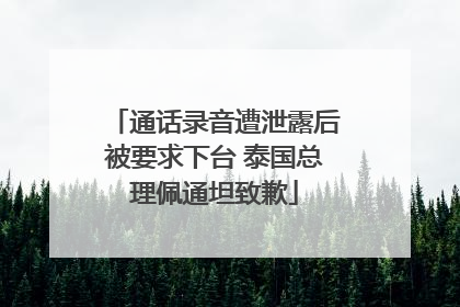 通话录音遭泄露后被要求下台 泰国总理佩通坦致歉