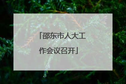 邵东市人大工作会议召开