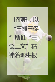邵阳：以“三抓三促”助推“三会三文”精神落地生根