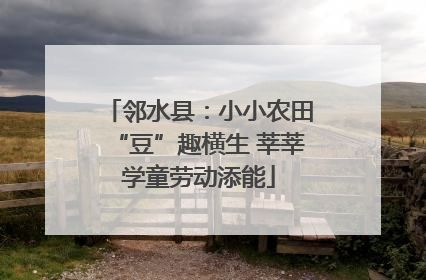 邻水县：小小农田“豆”趣横生 莘莘学童劳动添能