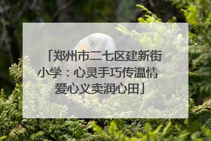 郑州市二七区建新街小学：心灵手巧传温情 爱心义卖润心田