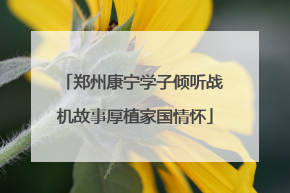 郑州康宁学子倾听战机故事厚植家国情怀