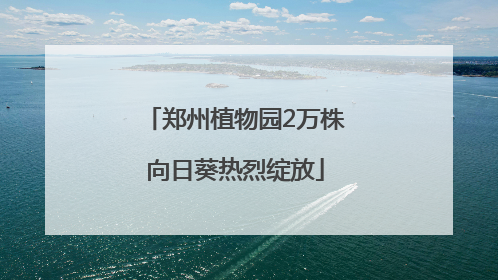 郑州植物园2万株向日葵热烈绽放
