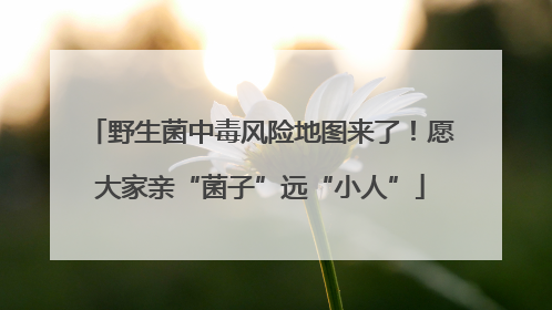 野生菌中毒风险地图来了！愿大家亲“菌子”远“小人”