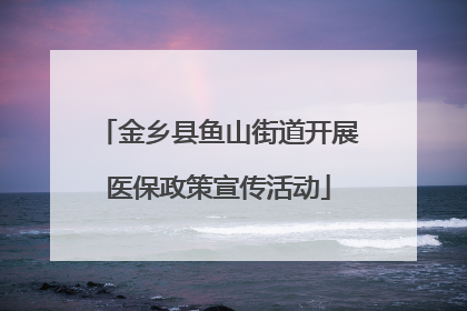 金乡县鱼山街道开展医保政策宣传活动