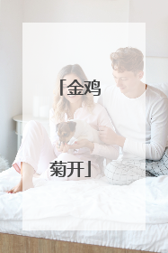 金鸡菊开