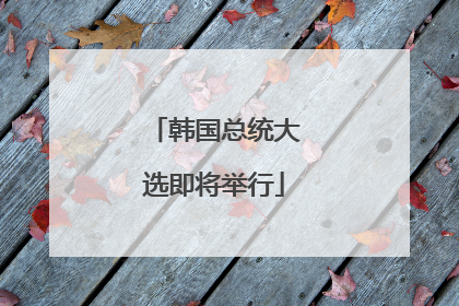 韩国总统大选即将举行