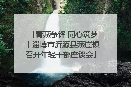 青燕争锋 同心筑梦丨淄博市沂源县燕崖镇召开年轻干部座谈会