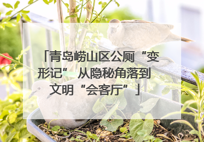 青岛崂山区公厕“变形记” 从隐秘角落到文明“会客厅”